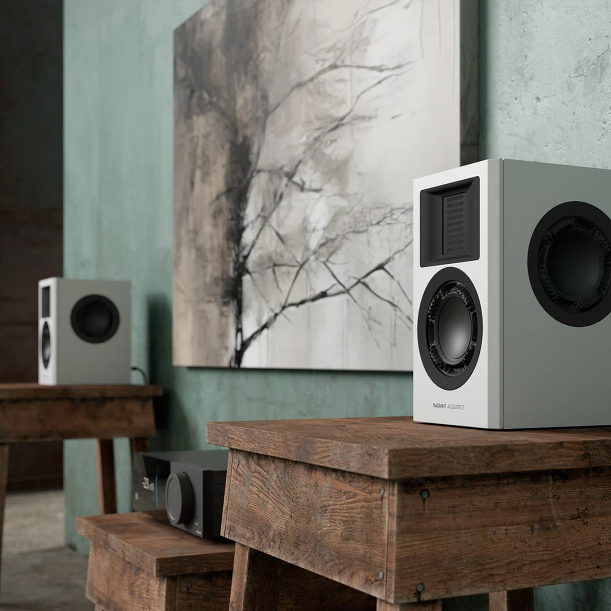 Radiant Acoustics Clarity 4.2 Bookshelf Speakers - Image 26