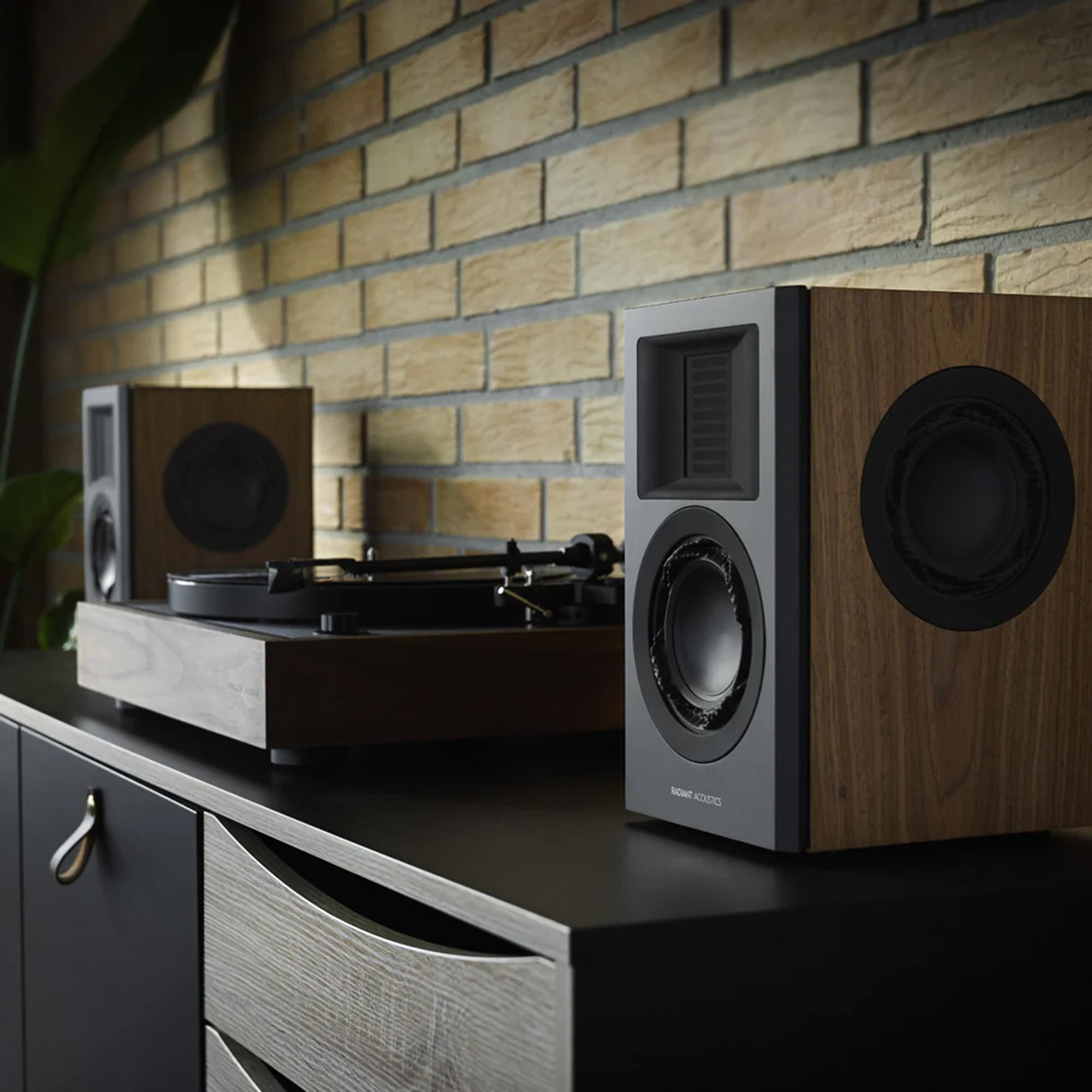 Radiant Acoustics Clarity 4.2 Bookshelf Speakers - Image 8
