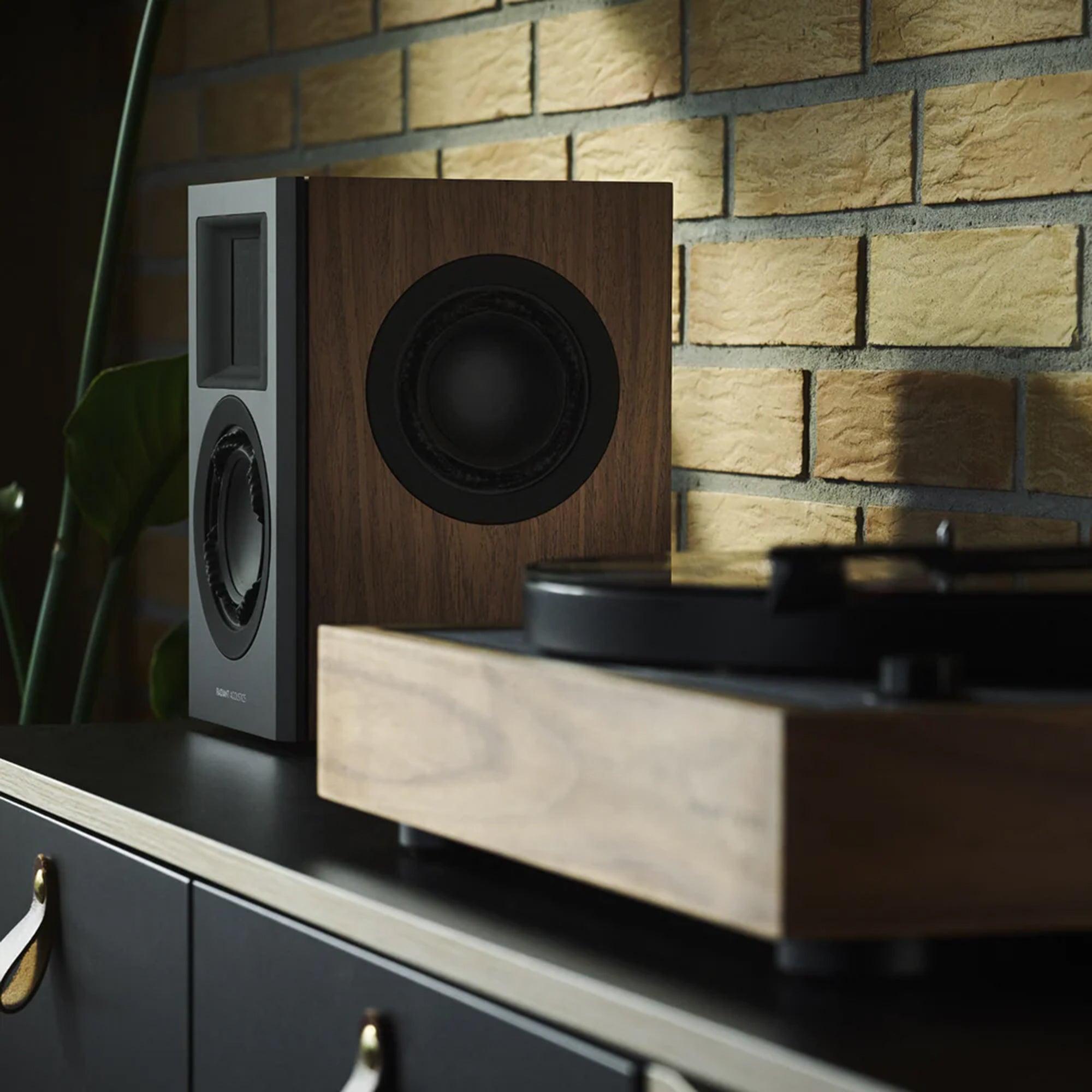 Radiant Acoustics Clarity 4.2 Bookshelf Speakers - Image 9