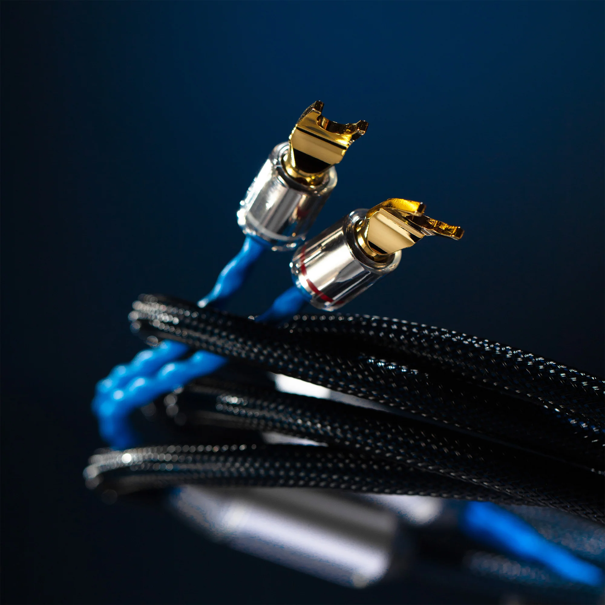 Siltech Classic Legend 380L Speaker Cable - Image 3